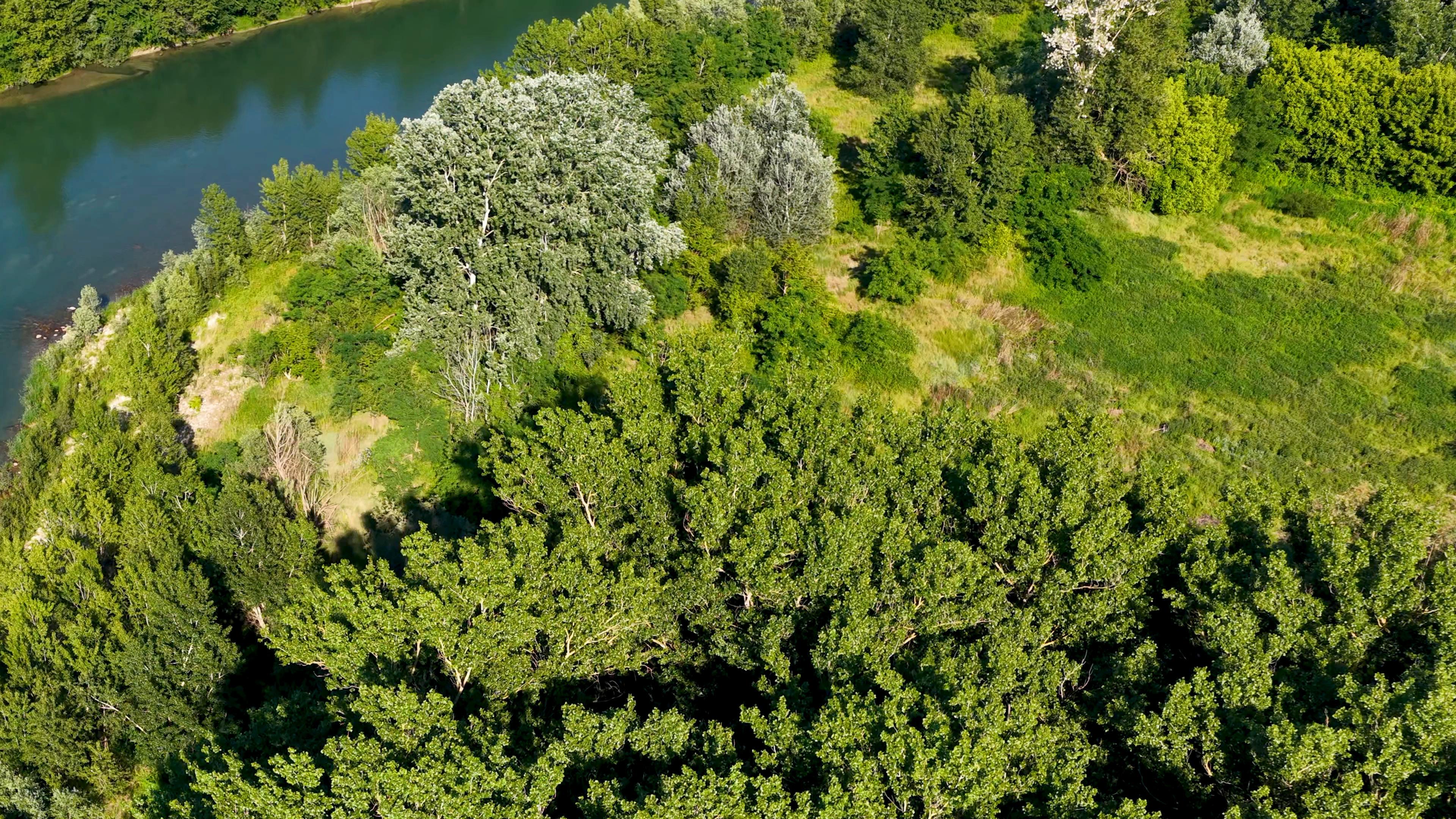 Ambiental y sustentabilidad