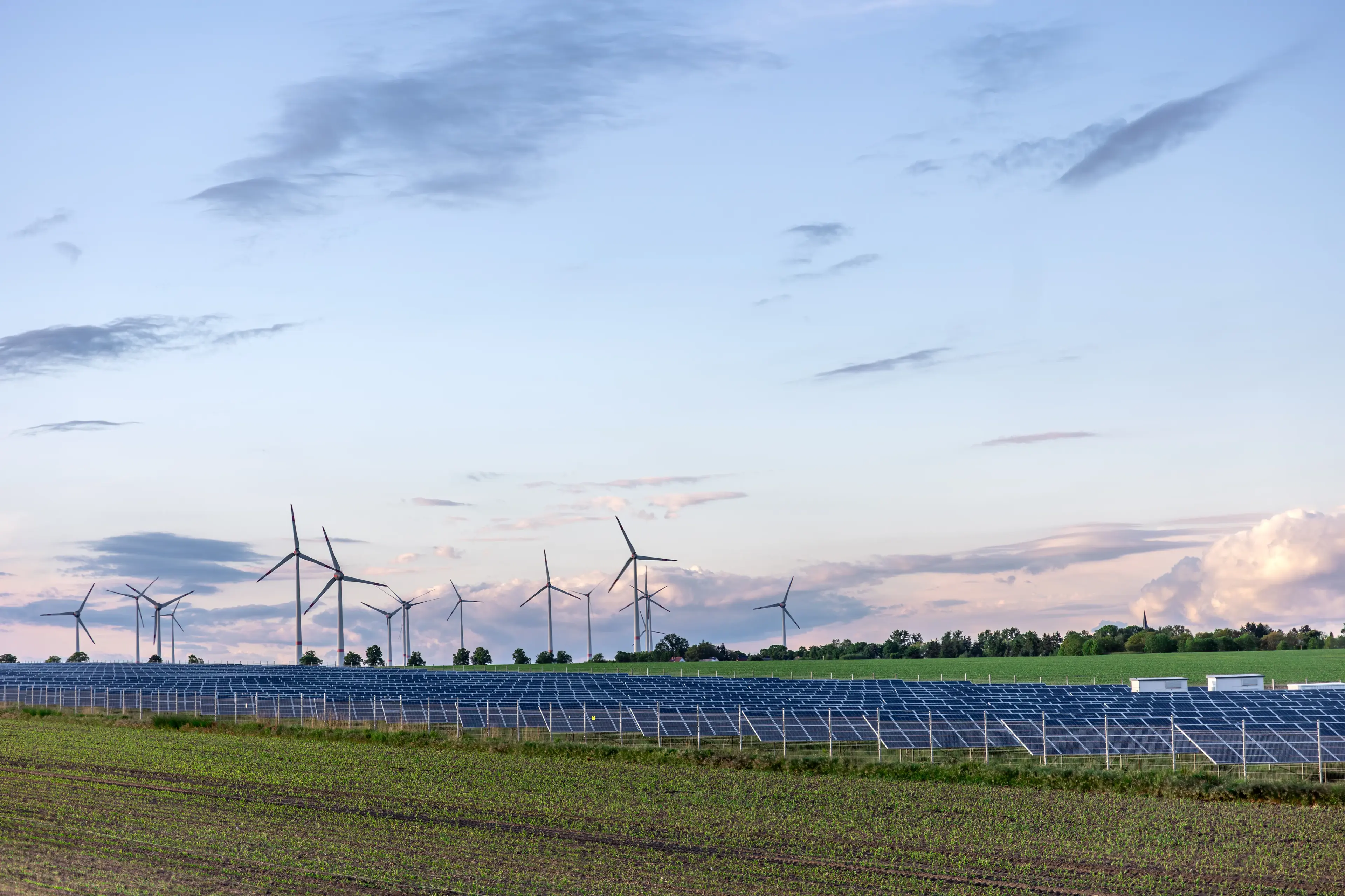 Proyectos EnerBio