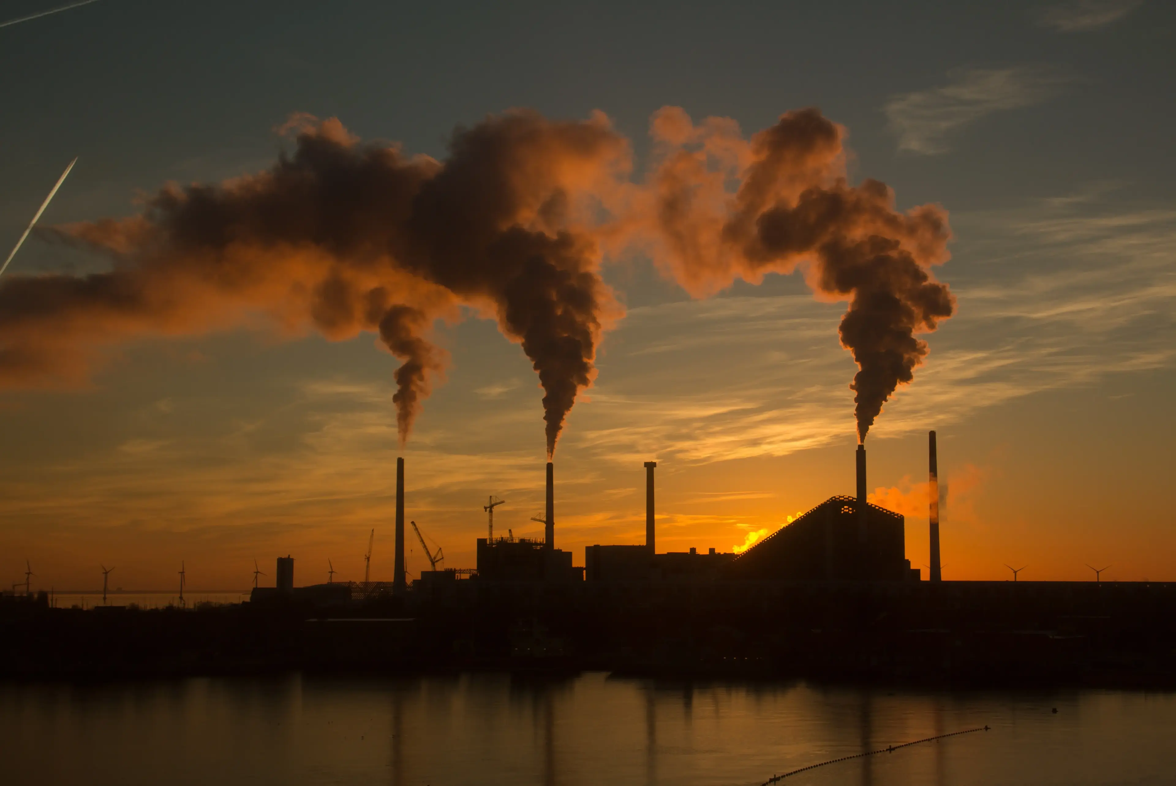 Planta de vapor y energía EnerBio