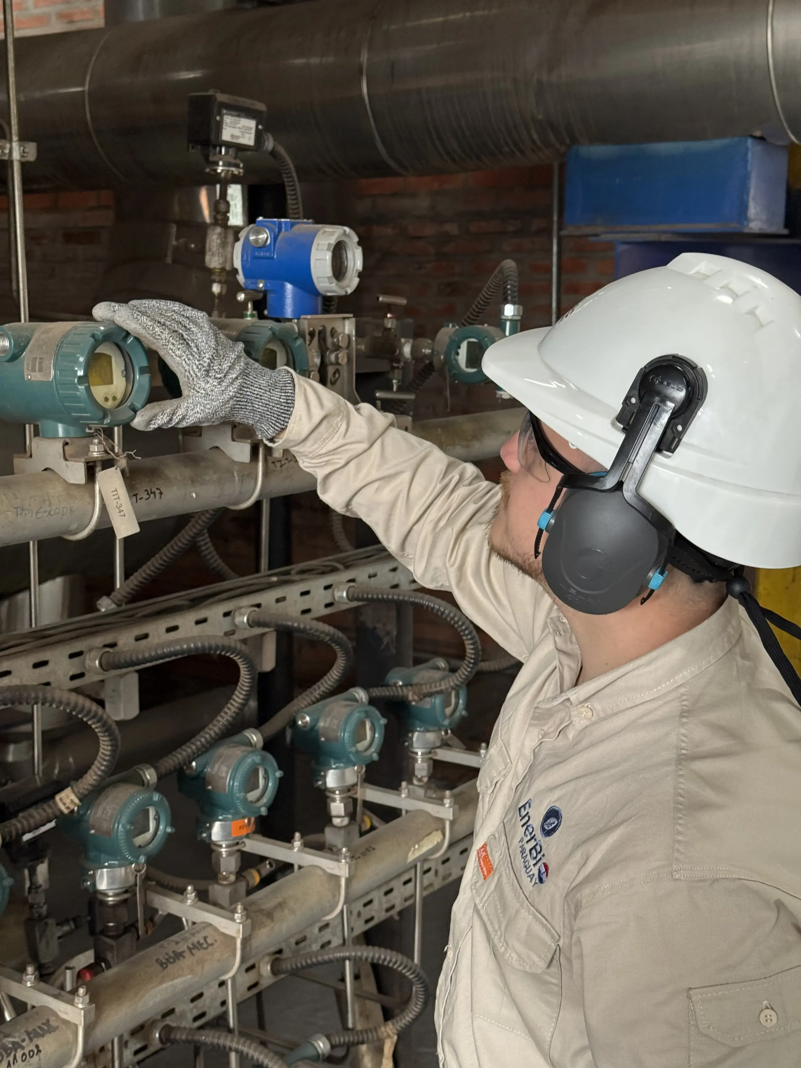 Proyecto EnerBio: Alcogreen